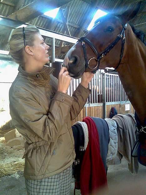 Dansk Varmblod leopold billede 14