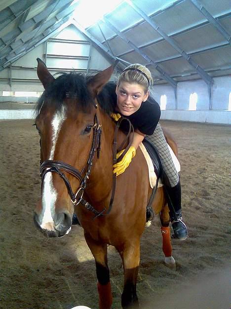 Dansk Varmblod leopold billede 15