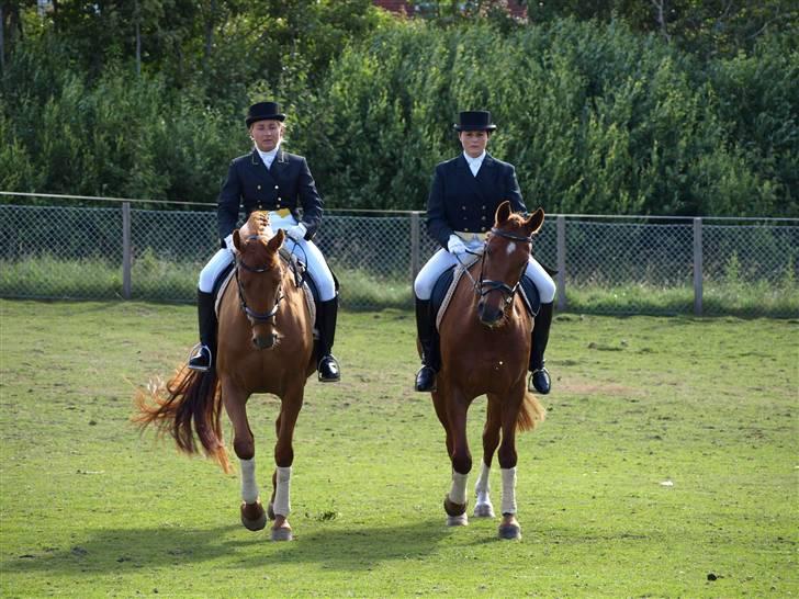 Anden særlig race Figaro <3 - Kvadrille ridning i Outrup :) Mig og min underviser Anne beth. 24/6-08 billede 5