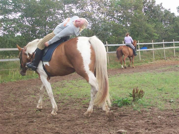 Anden særlig race Casandra af Lundegaardsve - Hun hænger mig langt ud af halsen, tænker hun ;b billede 12