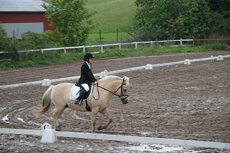 Fjordhest Gårdens Ronja *†* - Ronja med Anna til stævne. FHSR 2006. Blev nr.2 in en LC2 billede 15