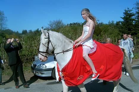 Connemara Mosevangs Cocu - Til min konfi den 29 april 2007 billede 12