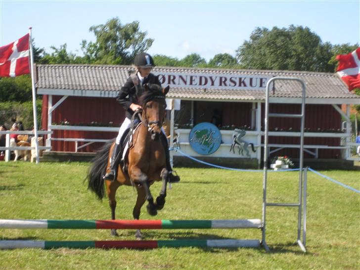 Anden særlig race Lizette - På dyreskuet 09 :) billede 4