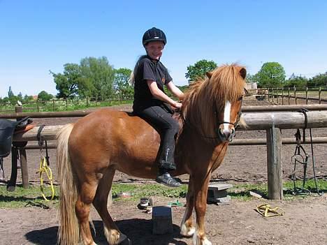 Islænder Pytla fra Hjortedal - Kristiane og Pytla igen <3 billede 10