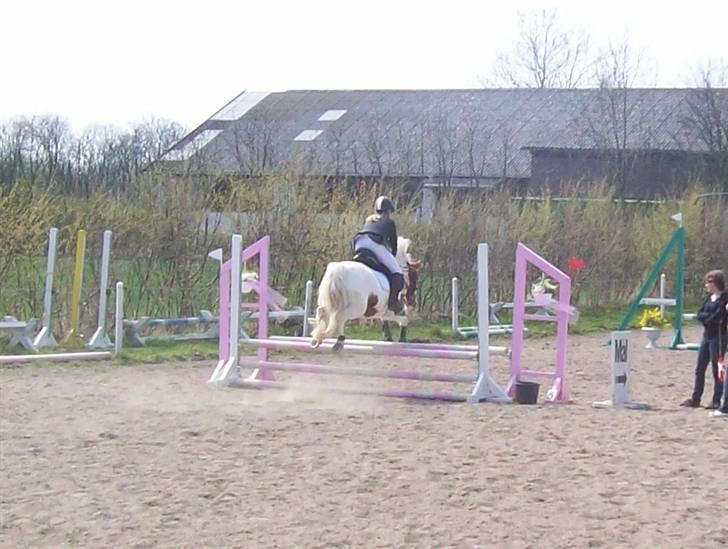 DSP Pedersmindes Ofelia<3 - Ja, jeg er lige glad med hva´ i syntes, for jeg elsker den pony! Foto: Britta. 2008 billede 3
