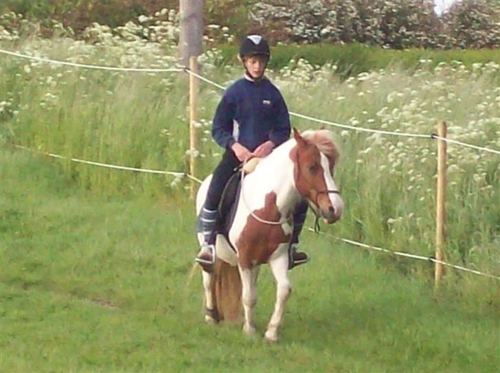 DSP Pedersmindes Ofelia<3 - you´re the closest to heaven that i´ll ever be.. (´: Foto: Far. 2009 billede 4