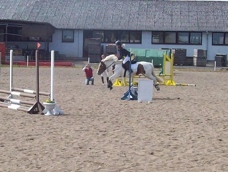 DSP Pedersmindes Ofelia<3 - It sometimes feels like a strange movie, you know, it´s all so weird that sometimes I wonder if it is really happening.. (Eminem)  Foto: Britta 2008 billede 5