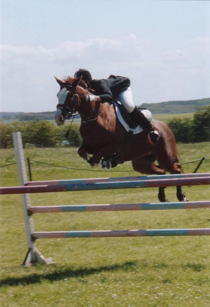 Anden særlig race Sahara - LB-spring i Ranum . B1 omspringning = 1.20 m billede 1