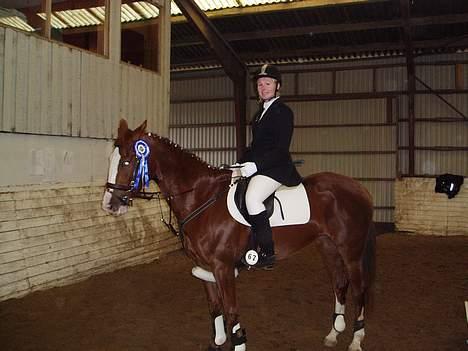 Anden særlig race Sahara - LC spring . nr. 2 ud af 14 :p billede 4