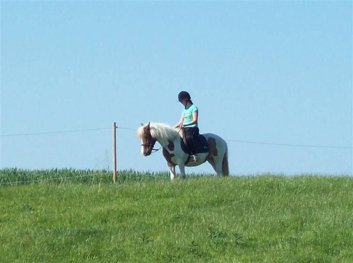 DSP Pedersmindes Ofelia<3 - Pauline og Ofelia på bakke toppen (: Foto: JGM.(mig) 2009 billede 7