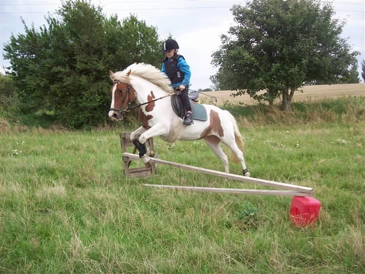 DSP Pedersmindes Ofelia<3 - Sofie springer på Ofelia. Foto: JGM. (mig) 2008 billede 8