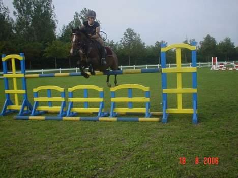 Hollandsk Sportspony Domenique<3 B-pony Soulmate - Træning på vallensbæk, her hopper hun 1,30 billede 6