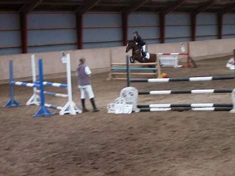 Hollandsk Sportspony Domenique<3 B-pony Soulmate - Domenique i gang med Laen :P billede 9