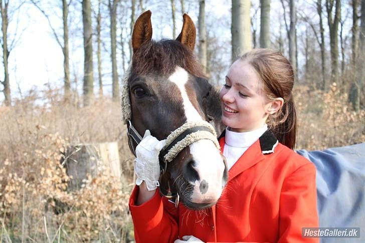 DSP Red Lady -  tidl. pony R.I.P :'( - Til jagt - savner & elsker dig Red Lady!

Mit ynglings billede, det siger mere ind 1000 ord! Hun er den dejligste pony! billede 1