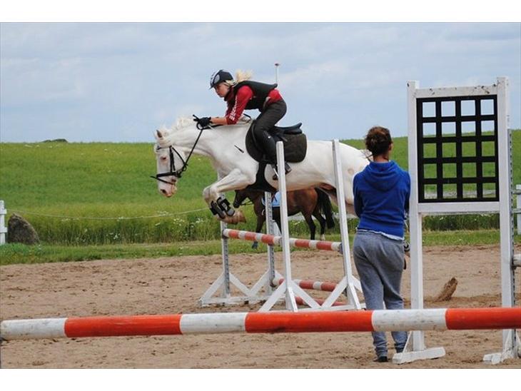 {{currentPhoto.altText}} billede {{currentPhoto.number}}