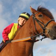 Anden særlig race Bastian