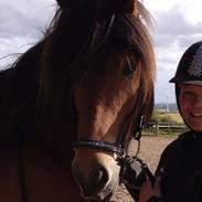 Islænder GREIFI fra SIRKILDEGÅRD 