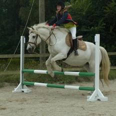 Anden særlig race Mikkel