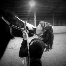 DSP BÆKLUNDS CADDIE