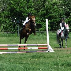 DSP ROSENKILDES MARQUIS