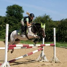 Anden særlig race MAGNUM