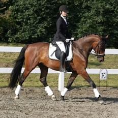 Holstener Amazing Casquero