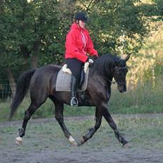 Anden særlig race Pandora