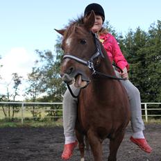 Anden særlig race bella