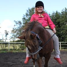 Anden særlig race bella