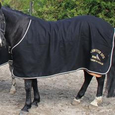 Anden særlig race Monty *Solgt*