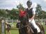 Welsh Cob (sec D) Englyst Shakespeare