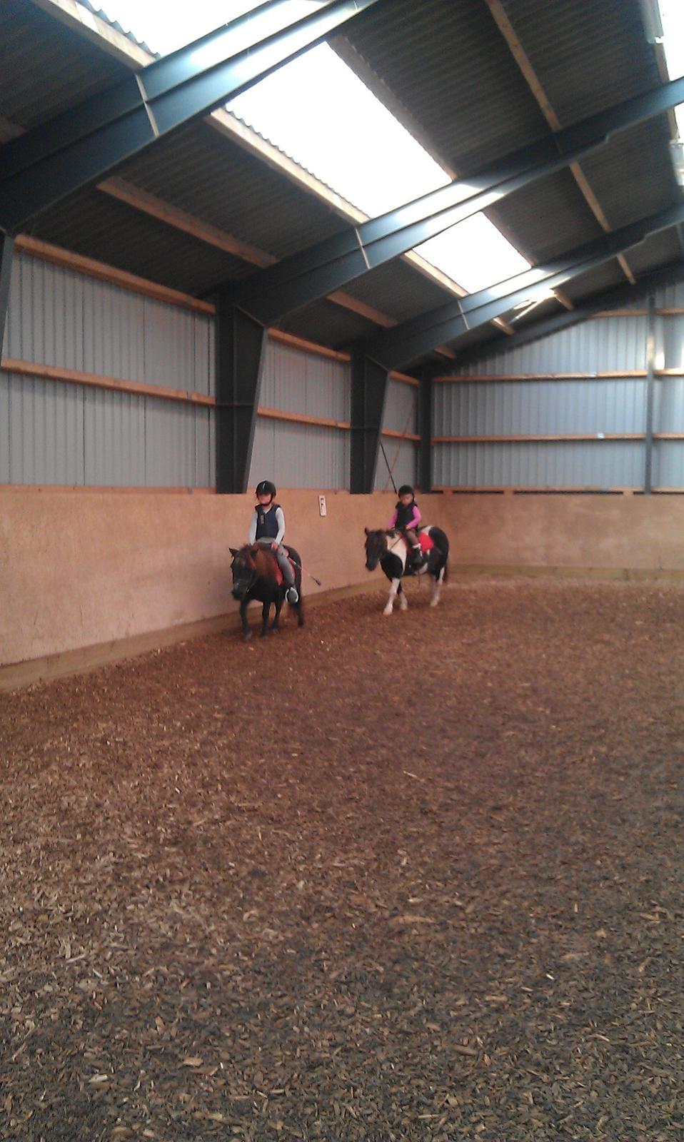 Anden særlig race samba billede 2