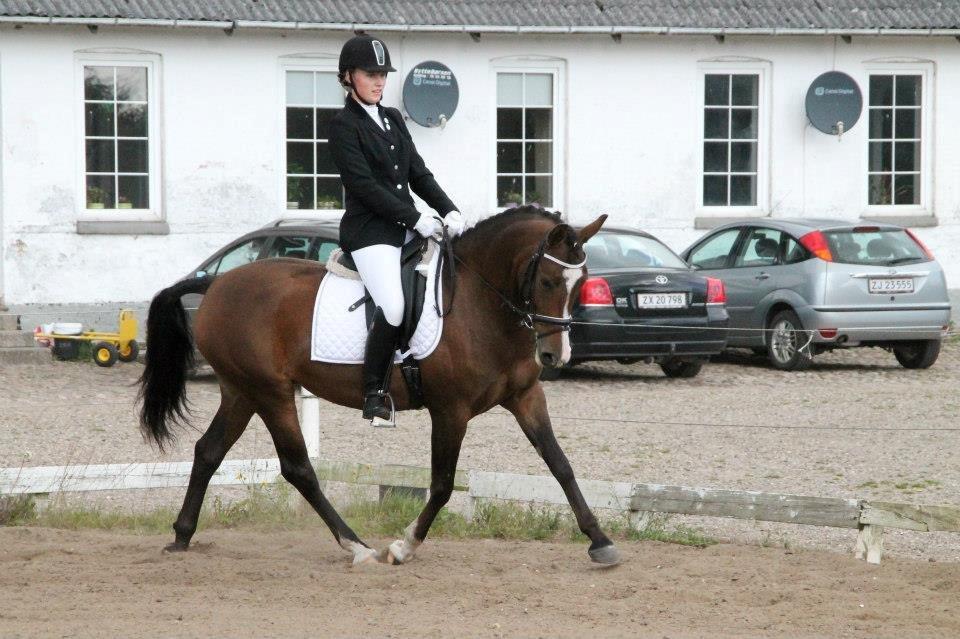 Anden særlig race Bonette  - Min svævende pony! Første La1.  billede 27