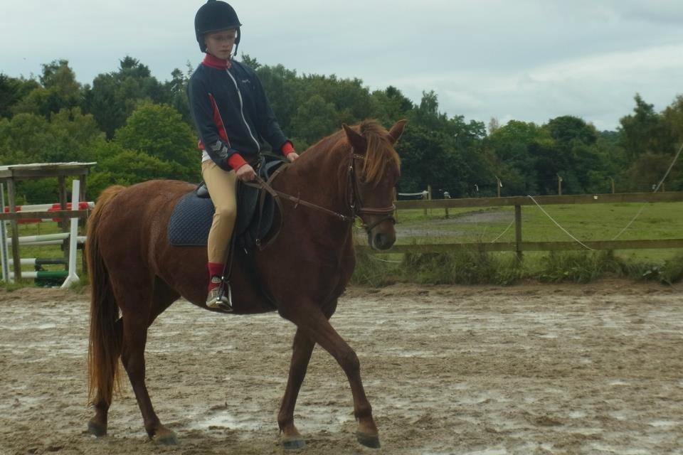 Welsh Pony (sec B) Låddenhøjs Nurit - 22/9. billede 9