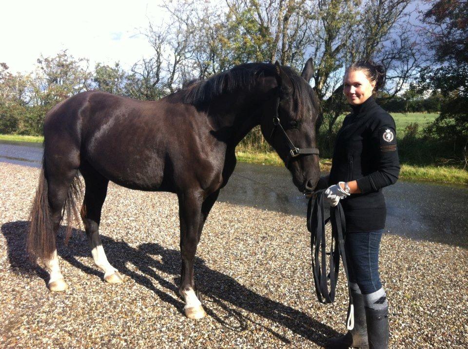 Anden særlig race Colardo billede 19