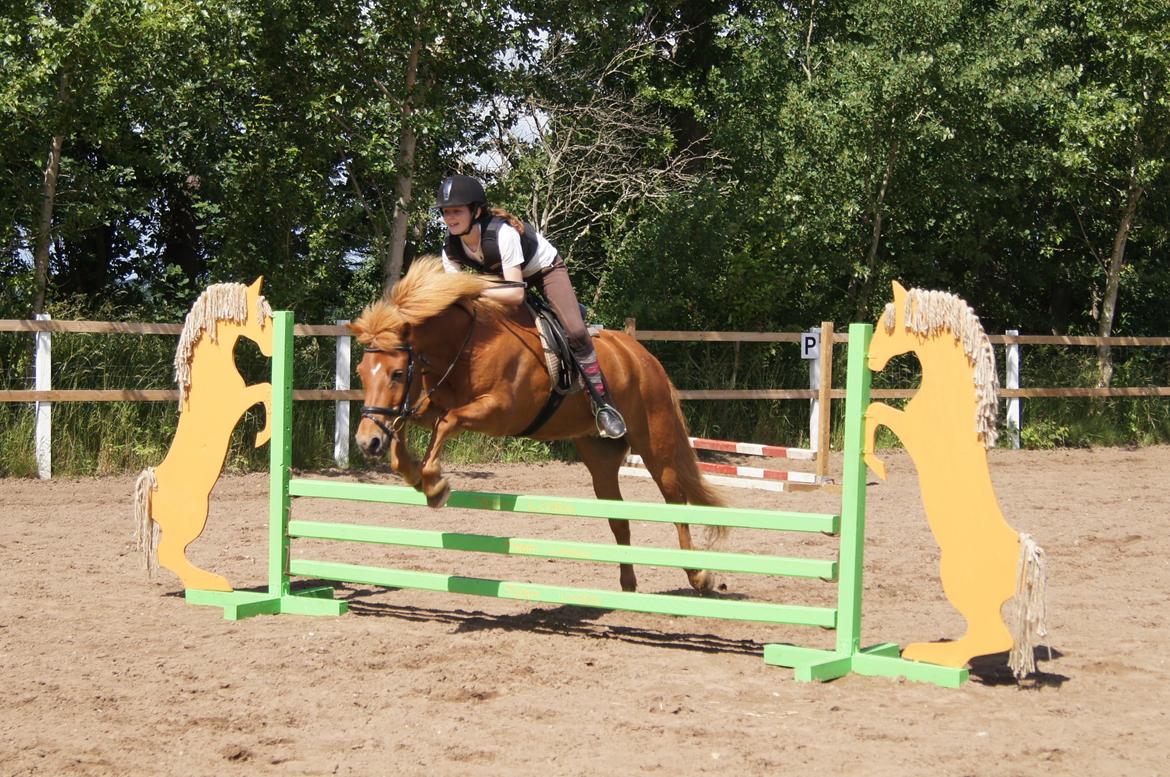 Islænder Drengür - Drengen og mig over det nye spring <3 <3 
~Foto~ Inger :) billede 21