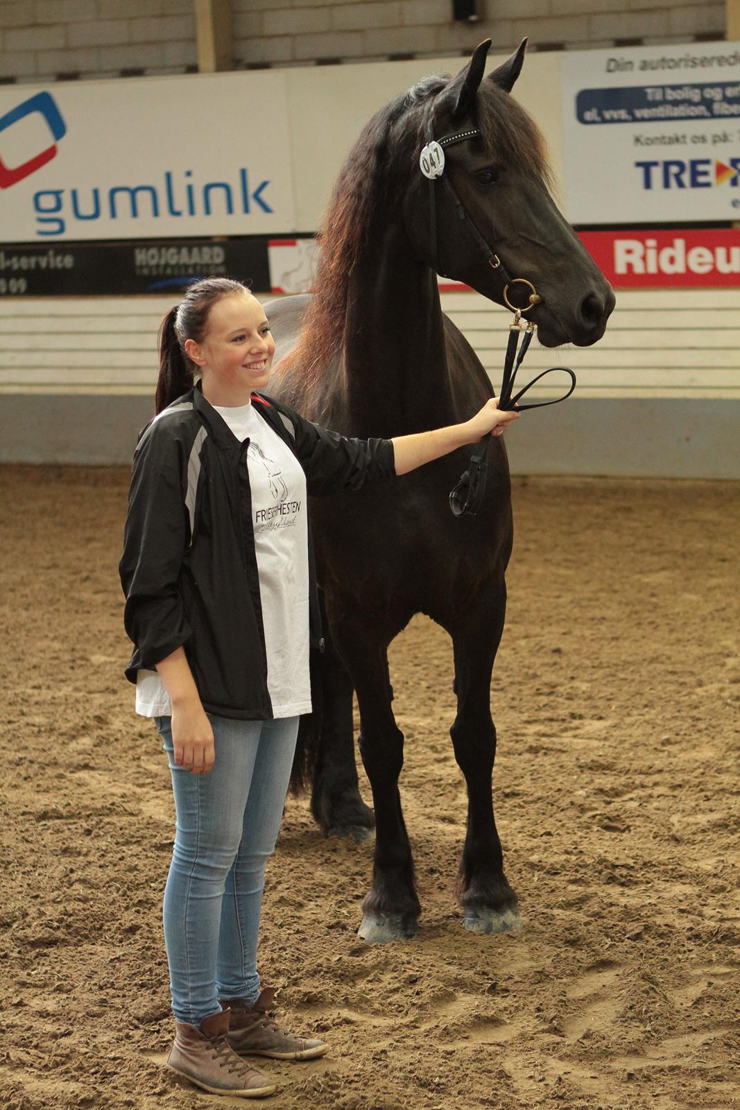 Frieser Mazandra von Inger-Marienlund, stb. STER - Mazandra og Eline til kåring vest 2011.. Billedet er taget af Lfoto. billede 4