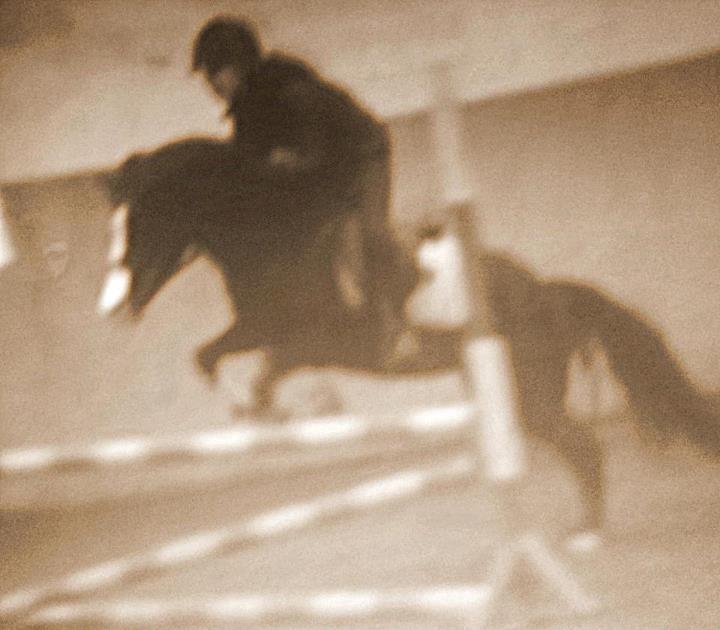 DSP BÆKLUNDS CADDIE - Det er ikke svært at finde en der kan få dig til at smile, det er ikke svært at finde en der kan få dig til at græde. Kunsten er at finde en, der kan få dig til at smile med tårer i øjnene! billede 5