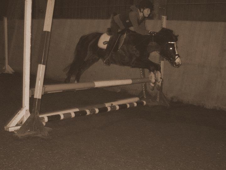 DSP BÆKLUNDS CADDIE - Engle kan flyve fordi de tager livet så let ♥ billede 6