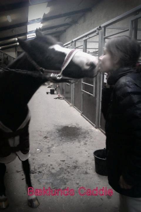 DSP BÆKLUNDS CADDIE billede 8