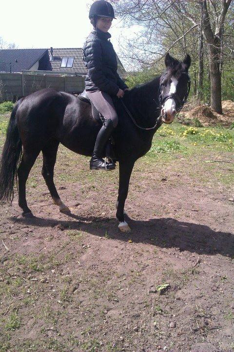 DSP BÆKLUNDS CADDIE - En ven er en, der forstår din fortid, tror på din fremtid og accepterer dig fuldt ud som du er ♥ billede 9