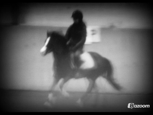 DSP BÆKLUNDS CADDIE - Hvis du vil have succes, må du arbejde hårdt, aldrig give op og frem for alt være besat af en storslået idé ♥ billede 13