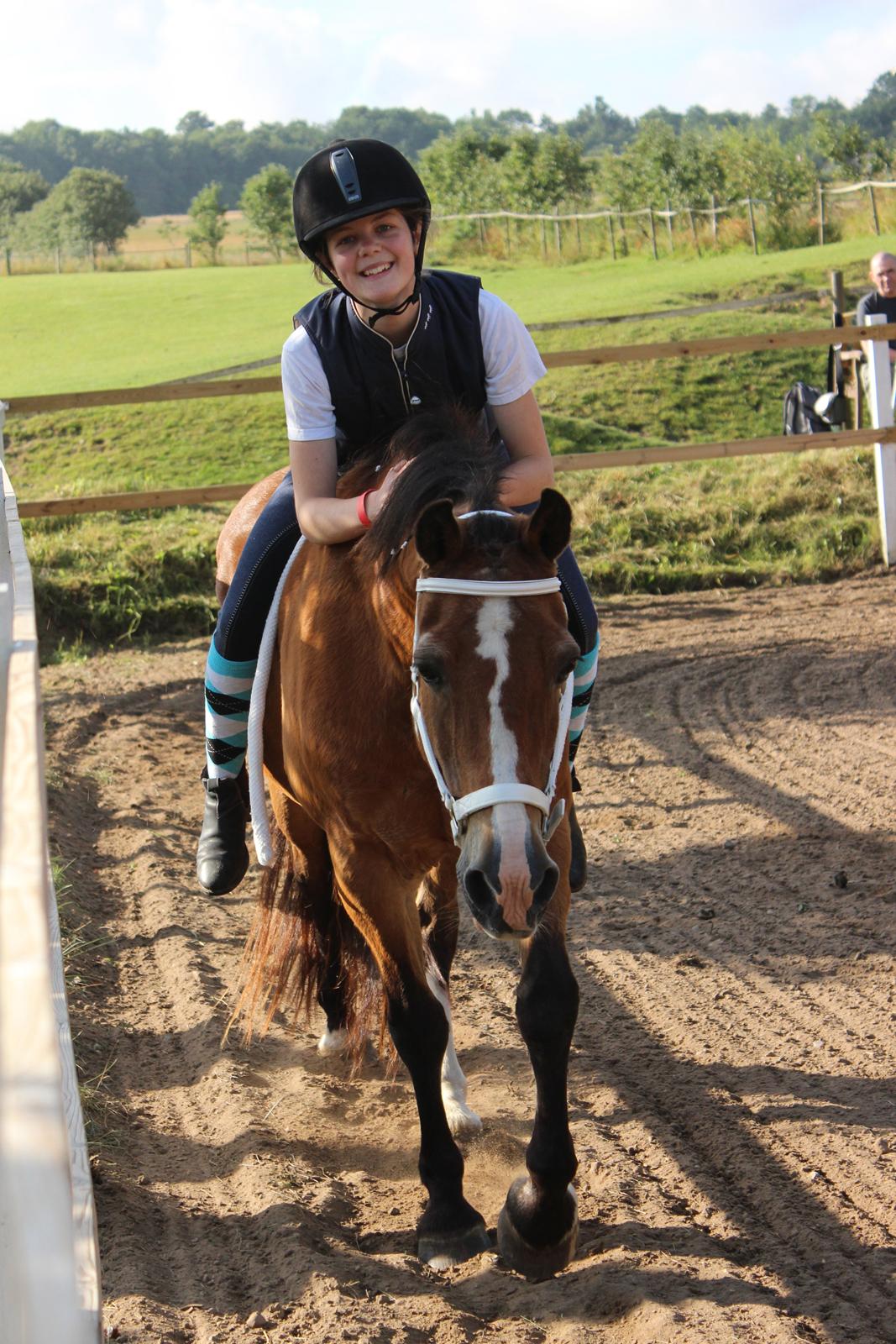 Welsh Cob (sec D) Greta (Passer) - LC1 Grime! <3 :*
~Foto~ Mor billede 20