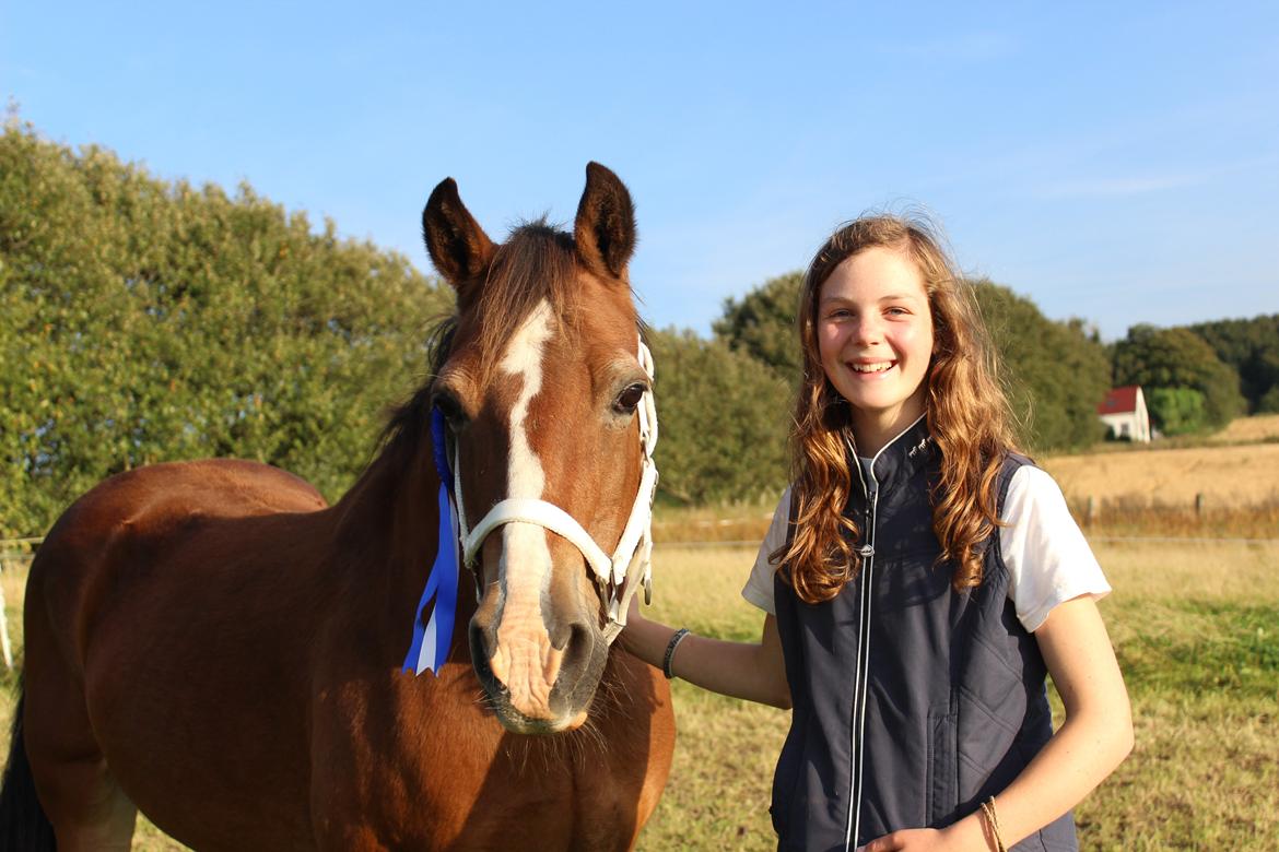 Welsh Cob (sec D) Greta (Passer) - When I look into your eyes, I can see your heart :*
~Foto~ Sarah <3 billede 16