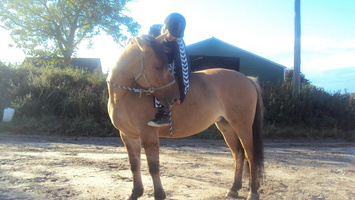 Anden særlig race Bamseline! <3 - Jeg elsker hende! 
<br>
<br>
Foto: Far :-) billede 12