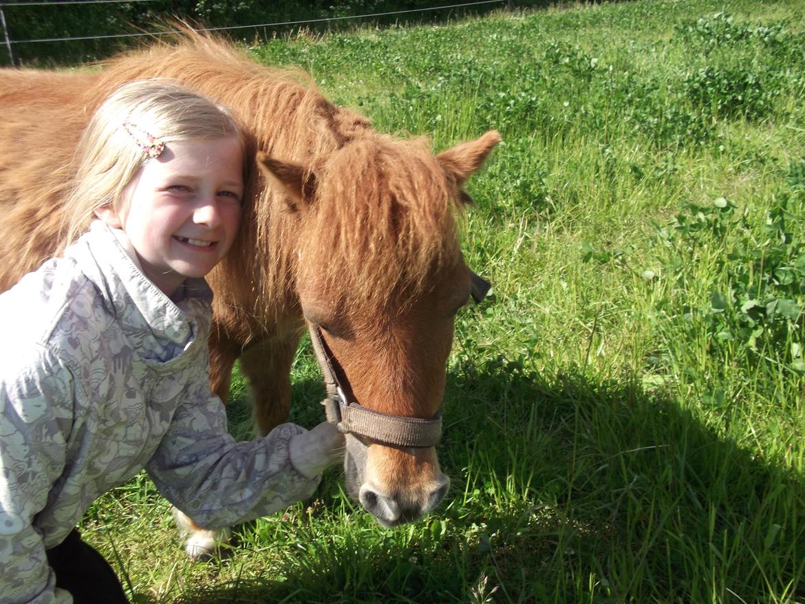 Shetlænder misty <33 - Misty og miiig :-) billede 5