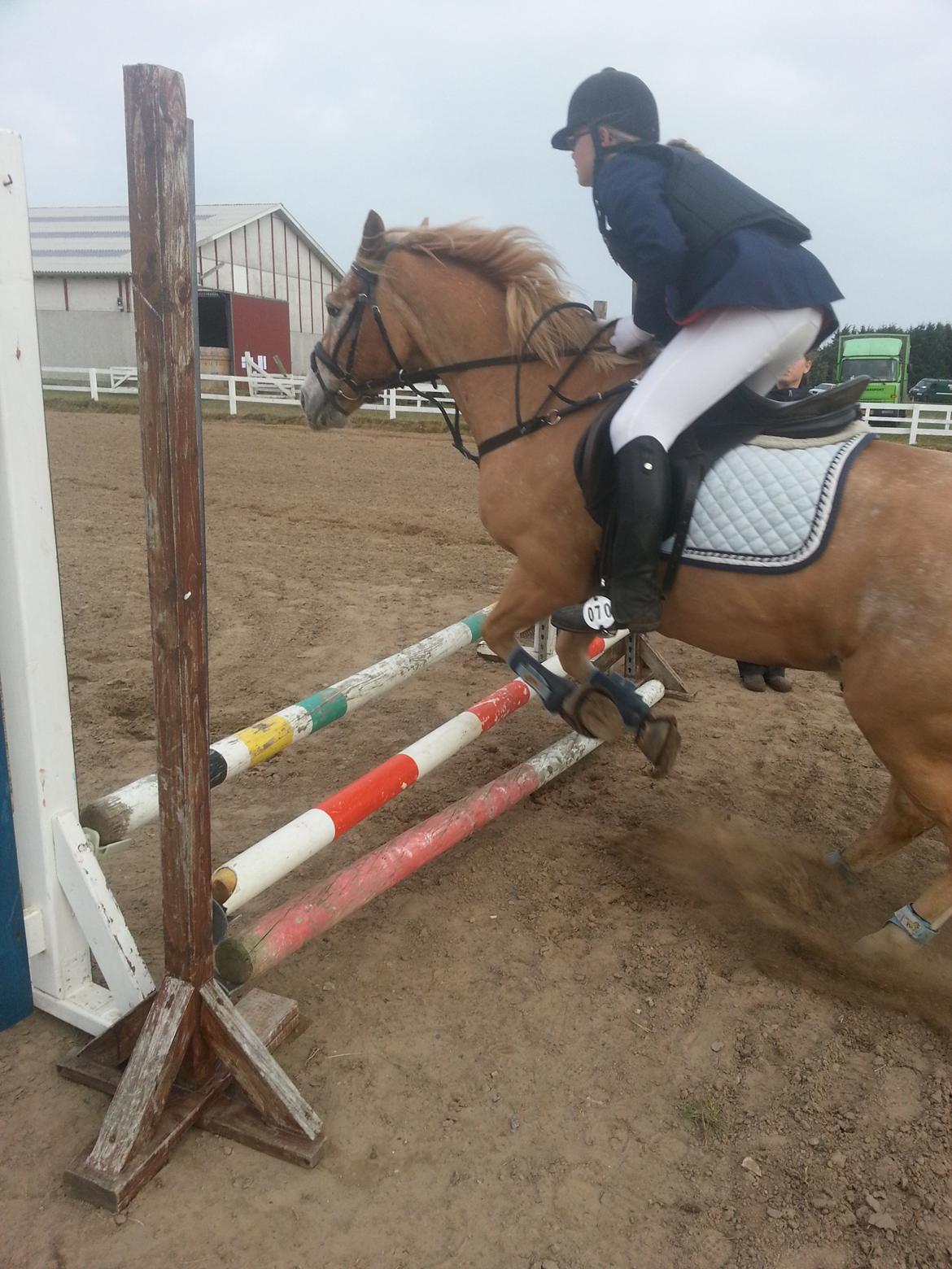 Anden særlig race just hugo forever billede 20