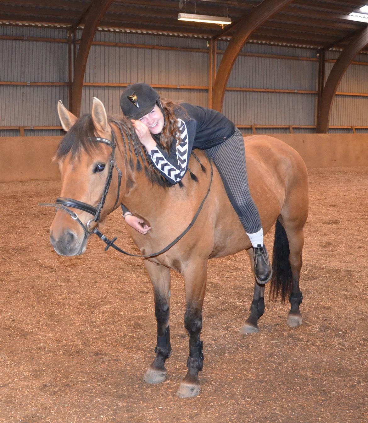 Anden særlig race Tequiro Sunset | Tio | <3 billede 17