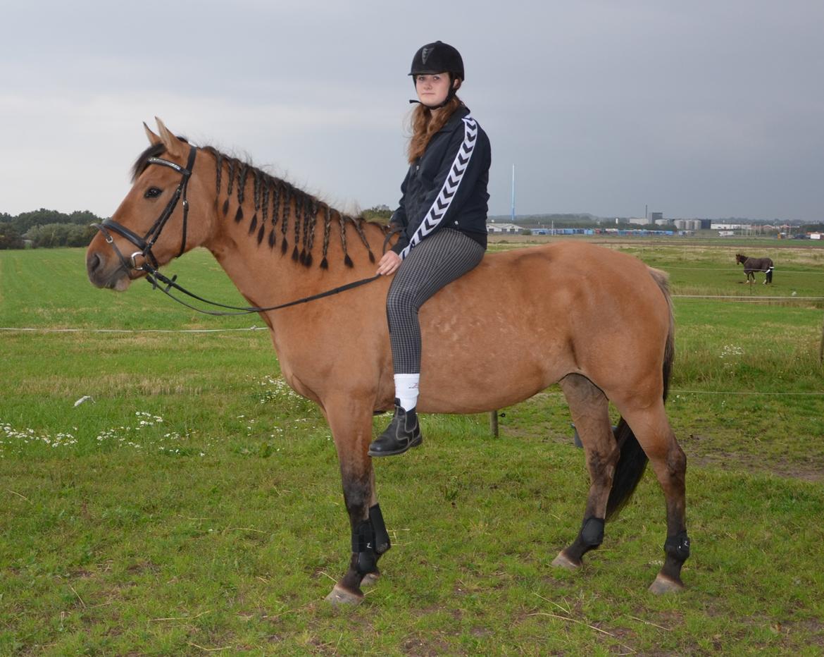 Anden særlig race Tequiro Sunset | Tio | <3 billede 18