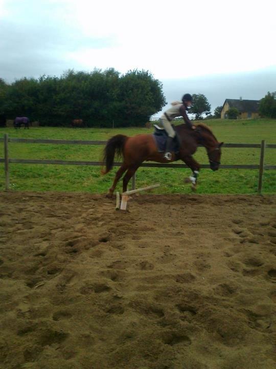 Frederiksborg Trymer billede 3